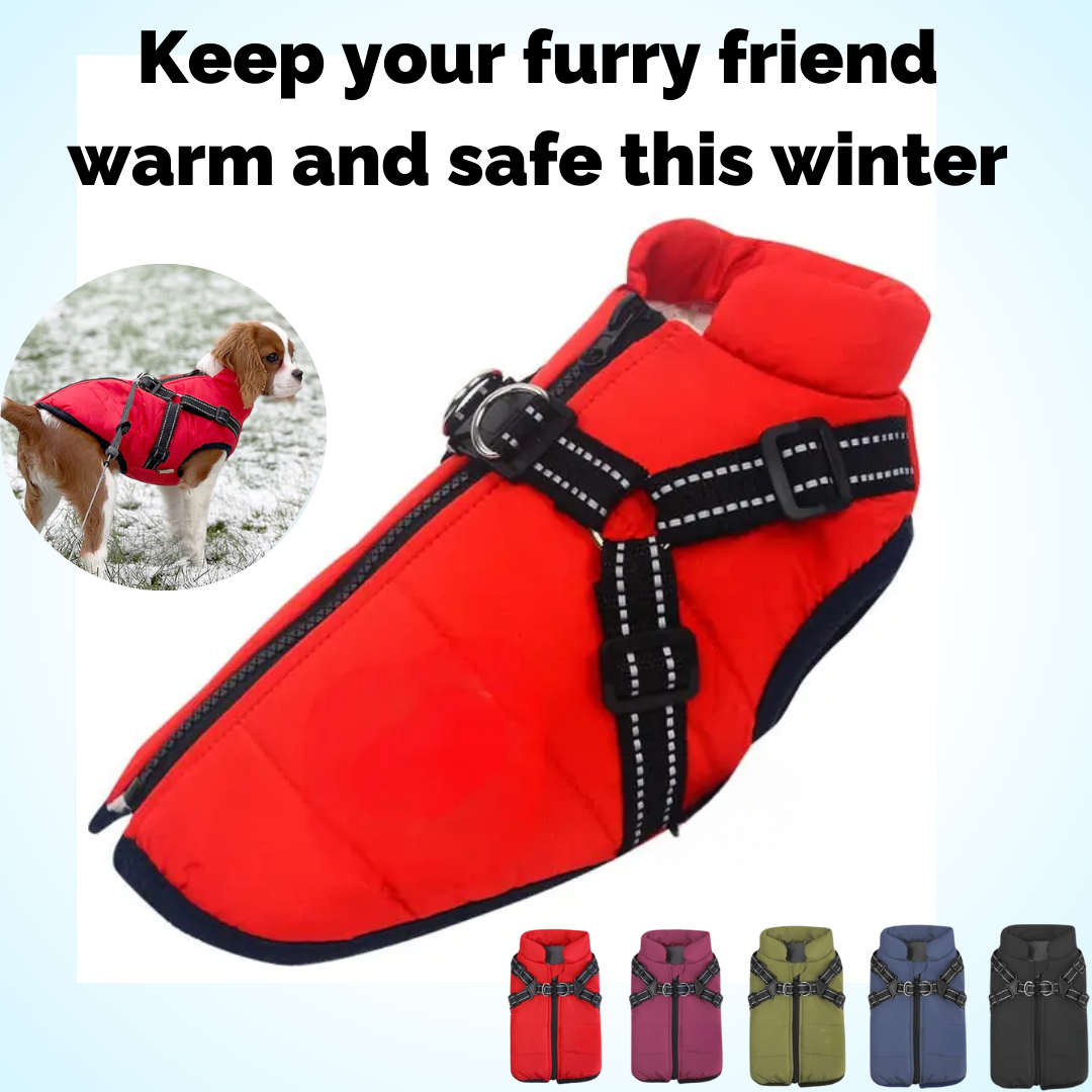 Vet Recommended Dog Jacket